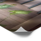 Porch - einfach rosa poster (Ecke)