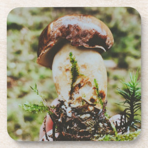 Porcini Mushroom im schwedischen Wald Getränkeuntersetzer