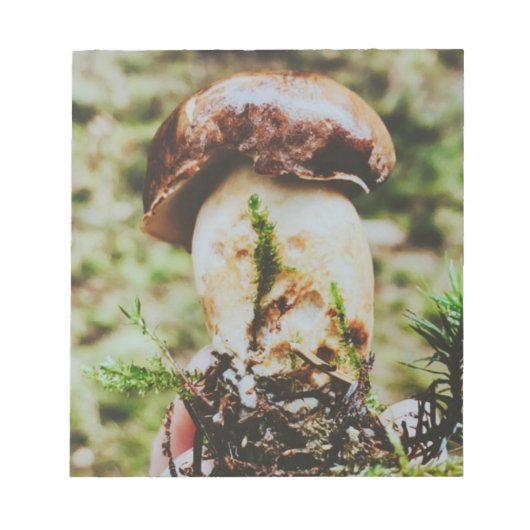 Porcini Mushroom im schwedischen Wald Notizblock (Vorderseite)