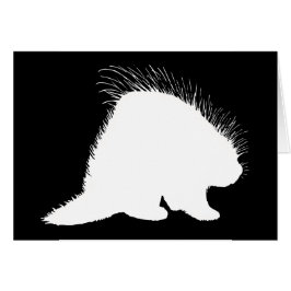 Porcupine