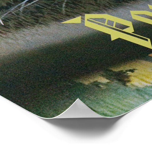 Porcupine 2 Poster (Ecke)