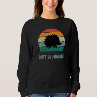 Porcupine Animal Pun Retro Sunset Ich bin kein Hug Sweatshirt