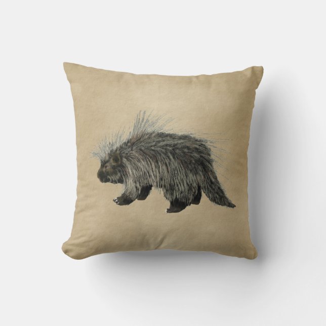 Porcupine auf altem Papier Kissen (Vorderseite)