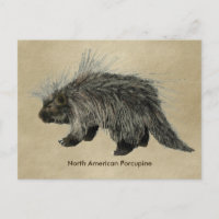 Porcupine auf altem Papier