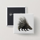 Porcupine Button (Vorne & Hinten)