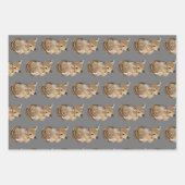 Porcupine, Eichhörnchen und Fauna Geschenkpapier Set (Vorderseite 3)