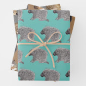 Porcupine, Eichhörnchen und Fauna Geschenkpapier Set (Beispiel)