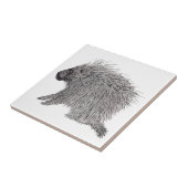 Porcupine Fliese (Seite)
