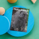 Porcupine Foto Funny Birthday Karte<br><div class="desc">Noch ein Geburtstag? Diese lustige,  tierbezogene Geburtstagskarte zeigt das Foto eines schwarzen Porcupine mit ein paar grauen Quillen. Wählen Sie aus einer matten oder glänzenden Stilkarte.</div>