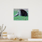 Porcupine Foto Poster (Küche)