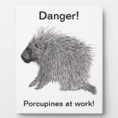 Porcupine Fotoplatte (Vorderseite)