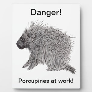 Porcupine Fotoplatte