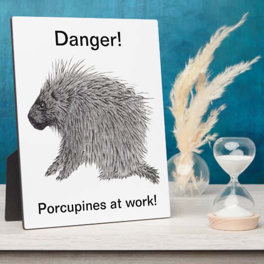 Porcupine Fotoplatte (Seite)