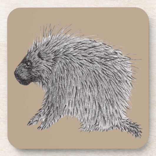 Porcupine Getränkeuntersetzer (Vorderseite)