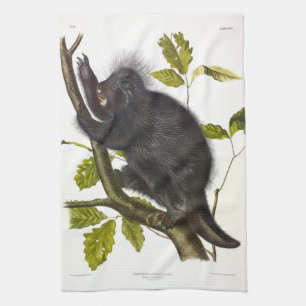 Porcupine in Nordamerika oder Kanada von Audubon Geschirrtuch