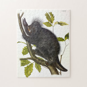 Porcupine in Nordamerika oder Kanada von Audubon Puzzle