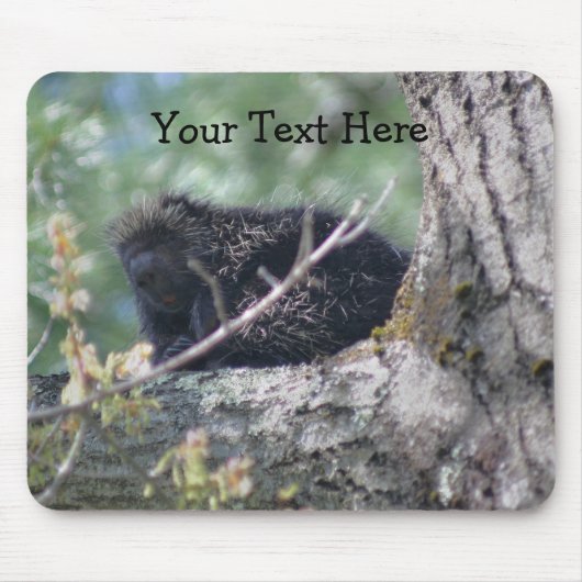 Porcupine in Tree Animal Nature Foto Mousepad (Vorne)