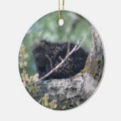 Porcupine in Tree Animal Ornament (Links)