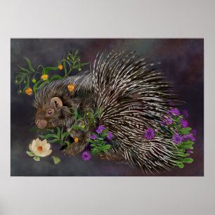 Porcupine Kunst, Dichtung und Musik Poster