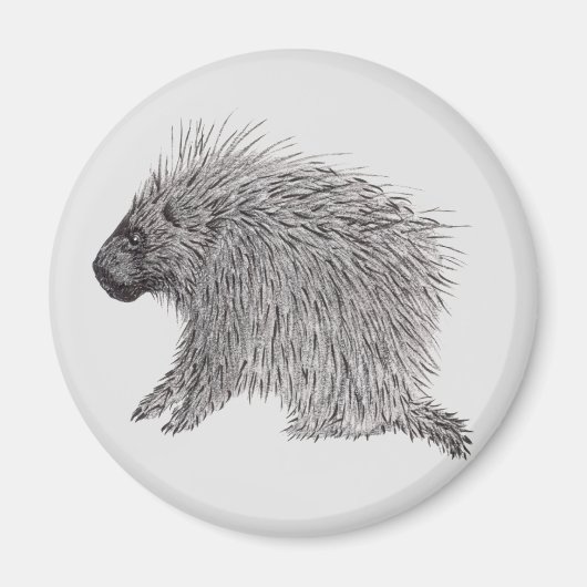 Porcupine Magnet (Vorne)
