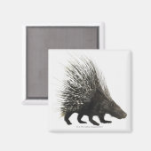 Porcupine Magnet (Vorderseite/Rückseite)