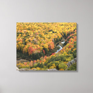 Porcupine-Mountains-Wilderness-State-Park Leinwanddruck