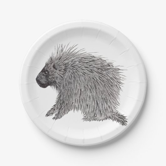 Porcupine Pappteller (Vorderseite)