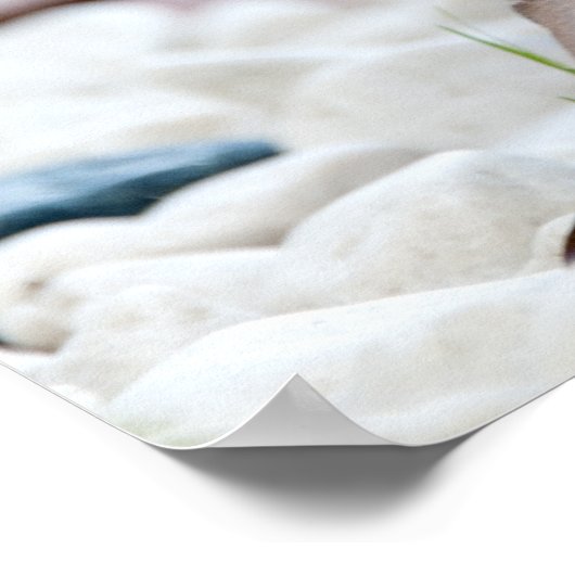 Porcupine Poster (Ecke)