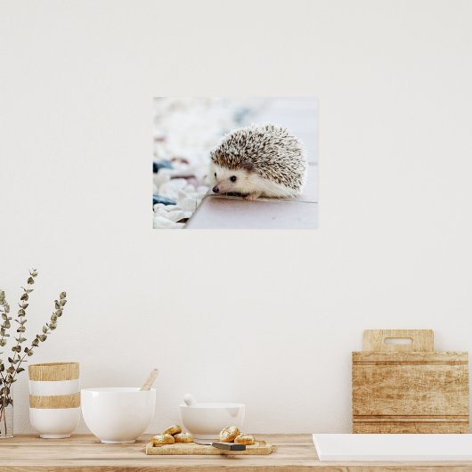 Porcupine Poster (Küche)