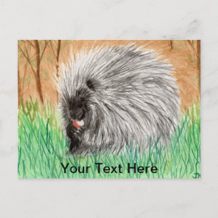 Porcupine Postkarte