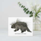 Porcupine Postkarte (Stehend Vorderseite)