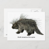 Porcupine Postkarte (Vorne/Hinten)