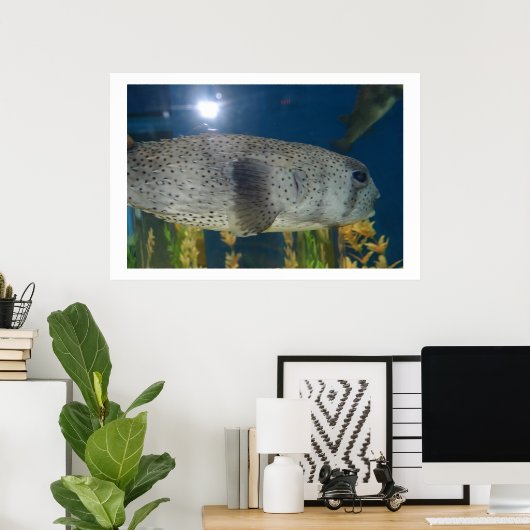 Porcupine Puffer Poster (Heimbüro)