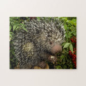 Porcupine Puzzle (Horizontal)