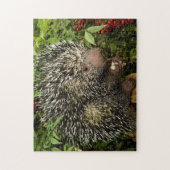 Porcupine Puzzle (Vertikal)