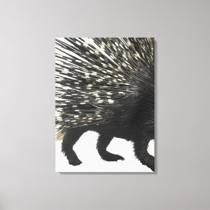 Porcupine-Quillen Leinwanddruck