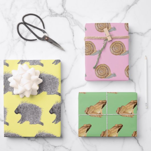 Porcupine, Schnecke und Holzfrosch Geschenkpapier Set (Vorderseite)
