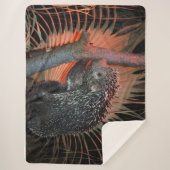 Porcupine Sherpadecke (Vorderseite)