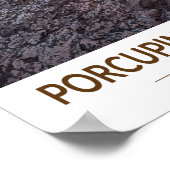 Porcupine Staat Park/Garten: Parco di Villa dei Ce Poster (Ecke)