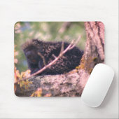 Porcupine Tierart Mousepad (Mit Mouse)
