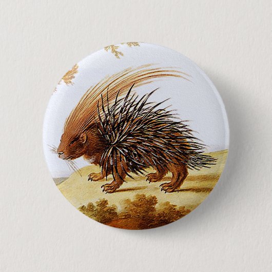 Porcupine - Vintage Porcupine-Malerei (Detail) Button (Vorderseite)