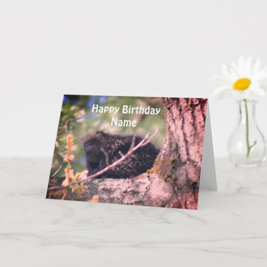 Porcupine Wildlife Personalisiert Geburtstag Karte (Kleine Pflanze)