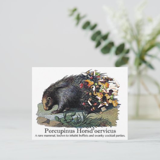Porcupinus Hoerd'oervicus Postkarte (Stehend Vorderseite)