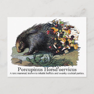 Porcupinus Hoerd'oervicus Postkarte