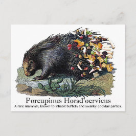 Porcupinus Hoerd'oervicus Postkarte