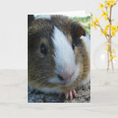 Porky die Guinea Schweinekopf Portrait Karte (Gelbe Blume)
