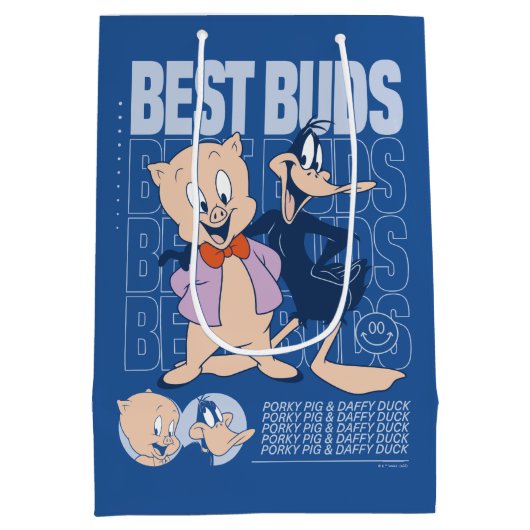 Porky Pig & DAFFY DUCK™ Best Buds Mittlere Geschenktüte (Rückseite)