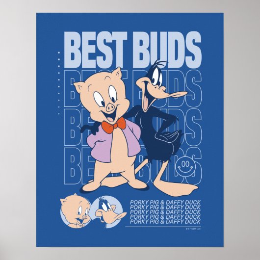 Porky Pig & DAFFY DUCK™ Best Buds Poster (Vorne)