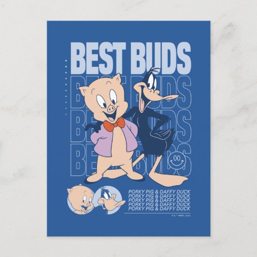 Porky Pig & DAFFY DUCK™ Best Buds Postkarte (Vorderseite)