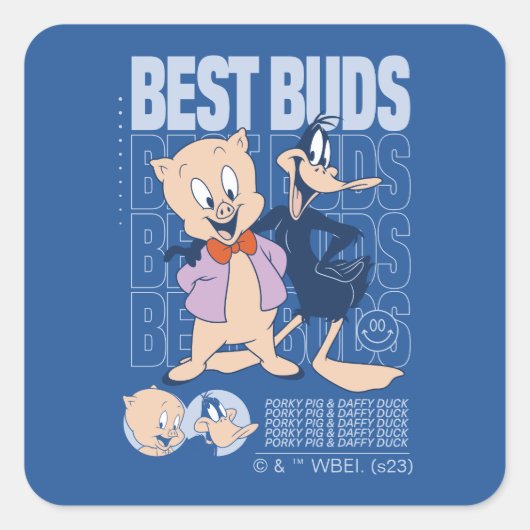 Porky Pig & DAFFY DUCK™ Best Buds Quadratischer Aufkleber (Vorderseite)